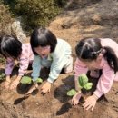 자연아이숲유치원 이미지