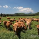 제동농장 이미지