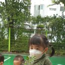 꼬물꼬물 생태텃밭 이미지