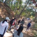 호수공원4 수변마루 이미지