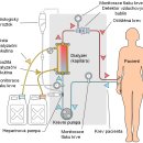 올바른비뇨의학과의원 이미지