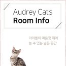 고양이 생활 호텔 네이버블로그