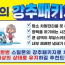 스팀몬