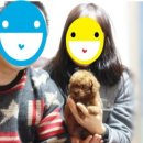 참 조은 훈이네 강아지 이미지