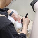 미용해·독 이미지