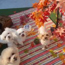 엄마 잘 다녀와 이미지