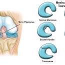한마음정형외과의원 이미지