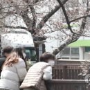 동해곤충농장 네이버블로그