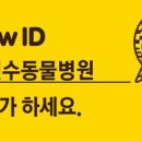 이진수고양이병원 이미지