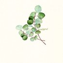 [주말] 색연필화 이미지