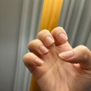 주식회사 해바라기에너지 | 마이크로셀 네일바이탈맥스 젤네일 휴식기 셀프케어 추천