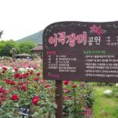 이곡보리밥 이미지