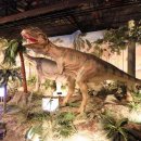 신기한 과학 탐구생활 이미지