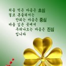 만복 Daum카페