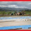 한국인농장 이미지