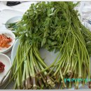 밤나무집식당 이미지