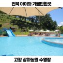 고창 상하농원 파머스빌리지 수영장 카바나 전북 아이와 가볼만한곳