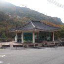 들꽃피는 펜션민박 이미지