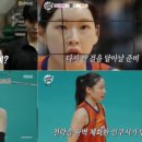 핑크 스파이더 이미지