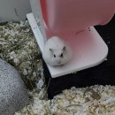 지평선종합약국 | 우라 블로그 정상영업합니다