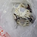 서하농수산 - 목포시 삼일로9번길 14 | 서하농수산