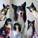 씨유 울산문수글로리점 | 오늘의 블로그는 영화, 축구, 유니폼 그리고 언제나 츄이와 함께입니다.