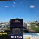 하늘다리 | 2025 부산 월드 드론 페스티벌 엉망진창 망한 후기 (하늘다리 뷰)