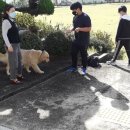 웅포중학교 이미지