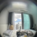 오룡당 | tmi 25