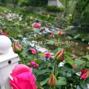 삼일자원(주) | HR 리더스 인사이트 2025(리멤버 주관)다시보기 메모