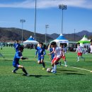 군민체육공원 인조1구장 이미지