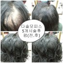 지헤어 이미지