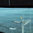 씨엘펜션 이미지