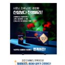 셀메디컬투어