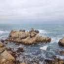 영플라자 앞 | 울산 여행 가볼만한 곳 추천 (롯데백화점 관람차 야경, 태화강 국가정원, 울산 대왕암공원 여행후기)