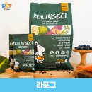 똑독독 이미지