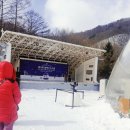 노루목산장 | 2025 겨울방학 당일치기 여행 강원 태백산눈축제 캐치티니핑 체험