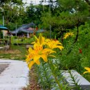 윤빌리아드 이미지