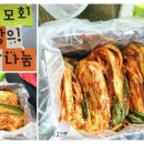 성일중학교 이미지