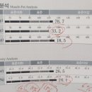 뉴핏샵 이미지
