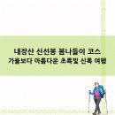 탑무인텔 | 내장산 신선봉 봄나들이 코스, 가을보다 아름다운 초록빛 신록 여행
