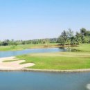 루비트리 이미지