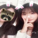 백조 | 백조다방 후기+여놀