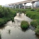 경안천 유방동 이미지