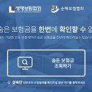 줌 이미지
