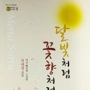 달빛향 이미지