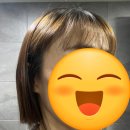 파슈헤어 이미지
