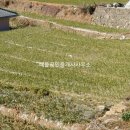 사슴공인중개사사무소 이미지