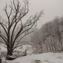 당골농장 이미지