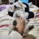 유월한의원 이미지